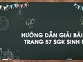 Bài 2 trang 57 sgk Sinh 8
