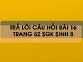 Câu hỏi bài 16 trang 52 sgk Sinh 8