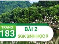 Bài 2 trang 183 sgk sinh 9
