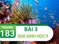 Bài 3 trang 183 sgk sinh 9