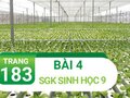 Bài 4 trang 183 sgk sinh 9