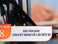 Thuyết minh về cây bút bi lớp 8 : Dàn ý và các bài văn mẫu hay nhất