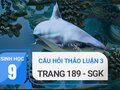 Câu hỏi thảo luận 3 trang 189 sgk Sinh 9