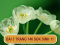 Bài 3 trang 146 SGK Sinh 11