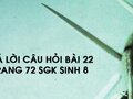 Câu hỏi bài 22 trang 72 sgk Sinh 8