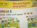 Lesson 1 unit 16 SGK Tiếng anh 3