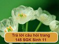 Câu hỏi trang 145 SGK Sinh học 11