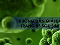 Bài 3 trang 83 sgk Sinh 8