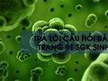 Câu hỏi bài 25 trang 81 sgk Sinh 8