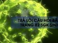 Câu hỏi bài 25 trang 82 sgk Sinh 8