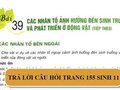 Câu hỏi trang 155 SGK Sinh học 11