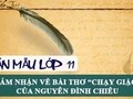 Phát biểu cảm nhận về bài thơ Chạy giặc - Nguyễn Đình Chiểu