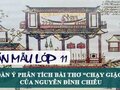 Dàn ý phân tích bài thơ Chạy giặc của Nguyễn Đình Chiểu