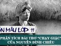 Phân tích bài thơ Chạy giặc của Nguyễn Đình Chiểu