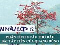Phân tích 8 câu thơ đầu bài Tây Tiến của Quang Dũng
