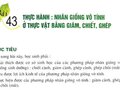Thực hành: Nhân giống vô tính ở thực vật bằng giâm, chiết, ghép