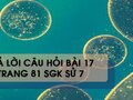 Câu hỏi bài 17 trang 81 sgk Sử  7