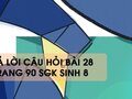 Câu hỏi bài 28 trang 90 sgk Sinh 8