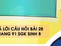 Câu hỏi bài 28 trang 91 sgk Sinh 8