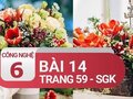 Thực hành cắm hoa thẳng nghiêng bài 14 SGK Công nghệ 6