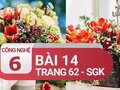 Thực hành cắm hoa toả tròn, tự do bài 14 SGK Công nghệ 6