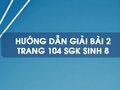 Bài 2 trang 104 sgk Sinh 8