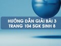 Bài 3 trang 104 sgk Sinh 8