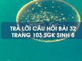 Câu hỏi bài 32 trang 103 sgk Sinh 8