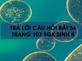 Câu hỏi bài 34 trang 107 sgk Sinh 8