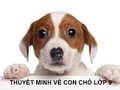 Thuyết minh về con chó lớp 9