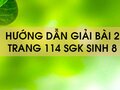 Bài 2 trang 114 sgk Sinh 8