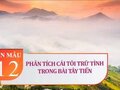 Phân tích cái tôi trữ tình trong bài Tây Tiến - Quang Dũng