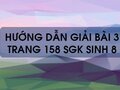 Bài 3 trang 158 sgk Sinh 8