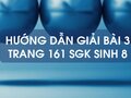 Bài 3 trang 161 sgk Sinh 8