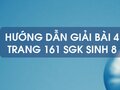 Bài 4 trang 161 sgk Sinh 8