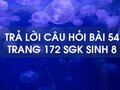 Câu hỏi bài 54 trang 172 sgk Sinh 8