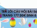 Câu hỏi bài 56 trang 177 sgk Sinh 8