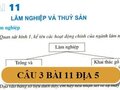 Câu 3 trang 90 Địa Lí 5