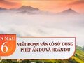 Viết đoạn văn có sử dụng phép tu từ ẩn dụ và hoán dụ