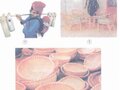 Trả lời câu hỏi trang 47 SGK Khoa học 5