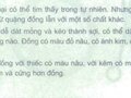 Trả lời câu hỏi trang 50 SGK Khoa học 5