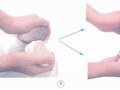 Trả lời câu hỏi trang 55 SGK Khoa học 5