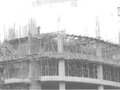 Trả lời câu hỏi trang 59 SGK Khoa học 5