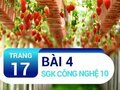 Bài 4 trang 17 SGK Công nghệ 10