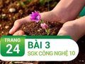 Bài 3 trang 24 SGK Công nghệ 10