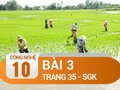 Bài 3 trang 35 SGK Công nghệ 10