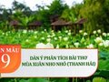 Dàn ý phân tích bài thơ Mùa xuân nho nhỏ - Thanh Hải