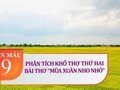 Phân tích khổ thơ thứ hai trong bài thơ Mùa xuân nho nhỏ