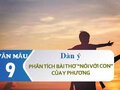 Dàn ý phân tích bài thơ Nói với con của Y Phương