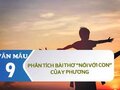 Phân tích bài thơ Nói với con của Y Phương